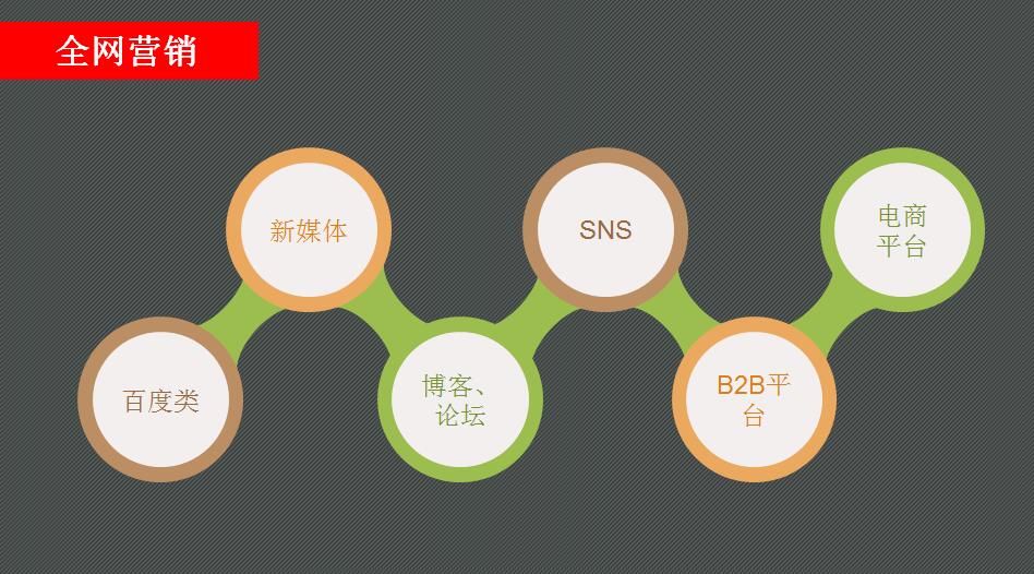 网络运营推广方案(经理级别，内含ppt)