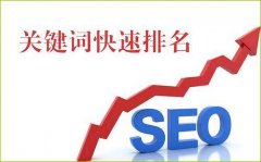 SEO优化