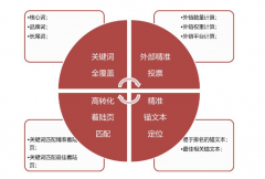 整站优化最基本的注意点有哪些